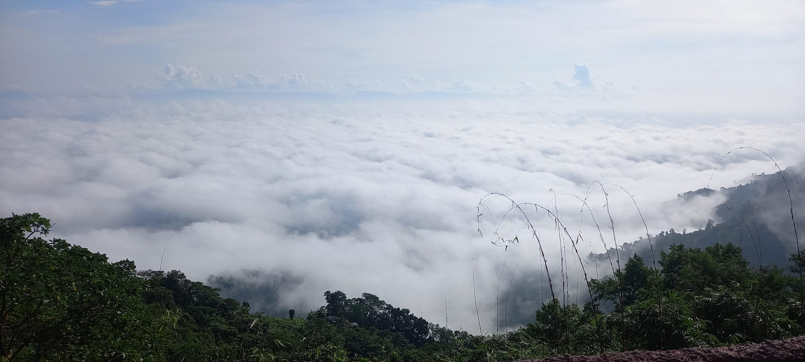 Cloud at Nilgiri